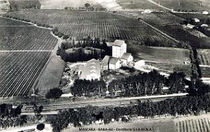 Mascara - Baba-Ali - Distillerie SIAMNA